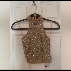 Windsor Nude Two Piece Sheer Sparkle Set